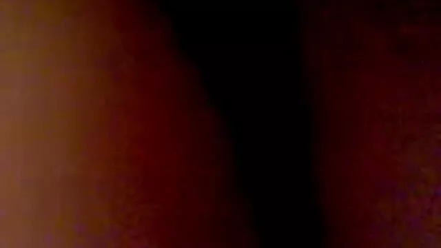 دو بور ضربدری باجناق ها خروس بزرگ مرد را گرفتند